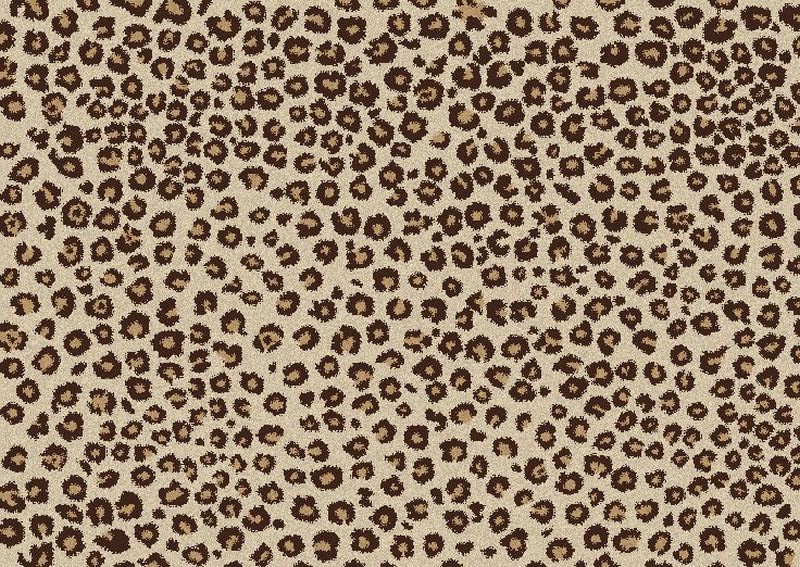 The Difference Between Leopard and Cheetah Print – Leslie Quander